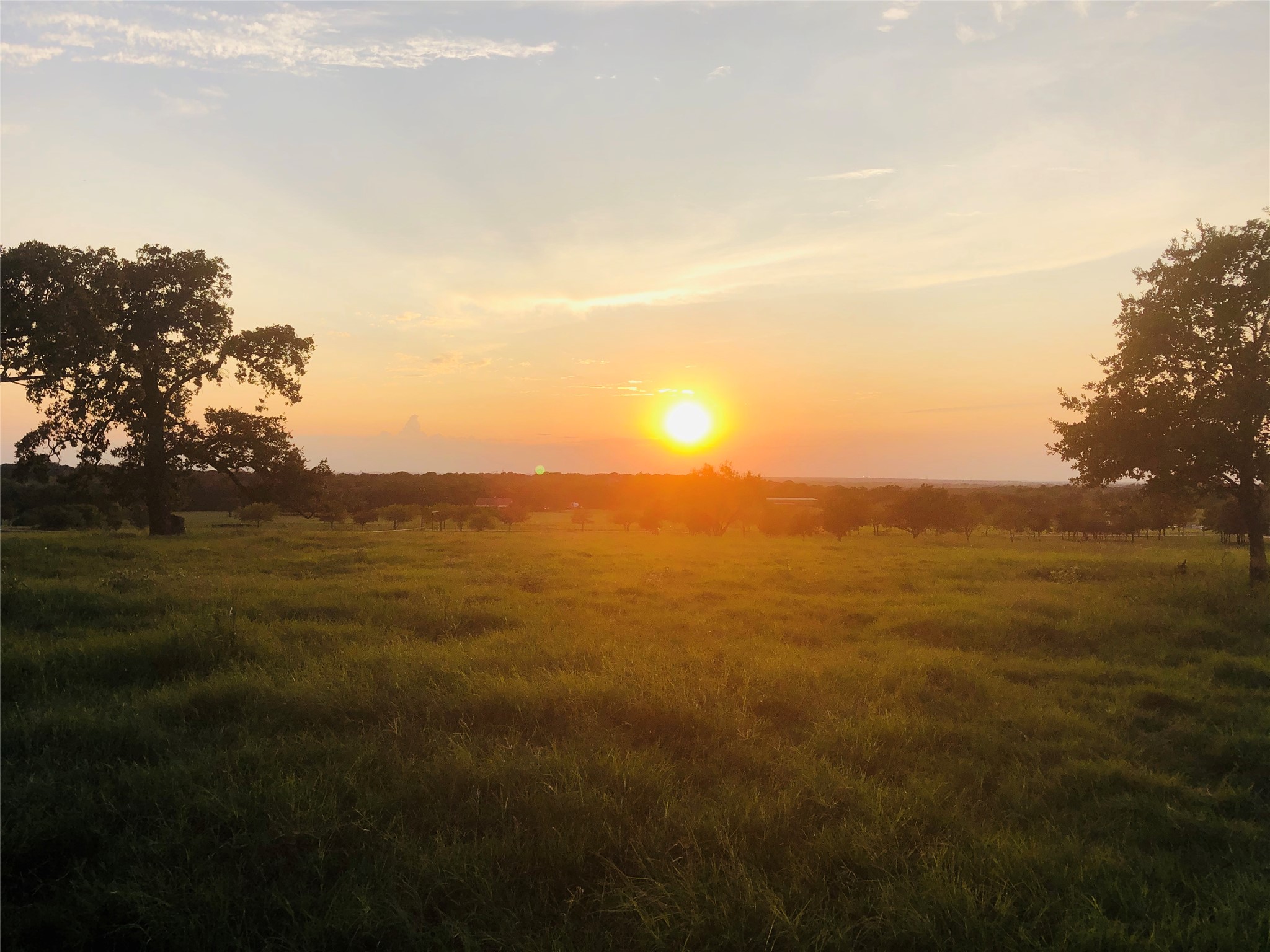2400 New Hope Road Cross Roads TX 76227