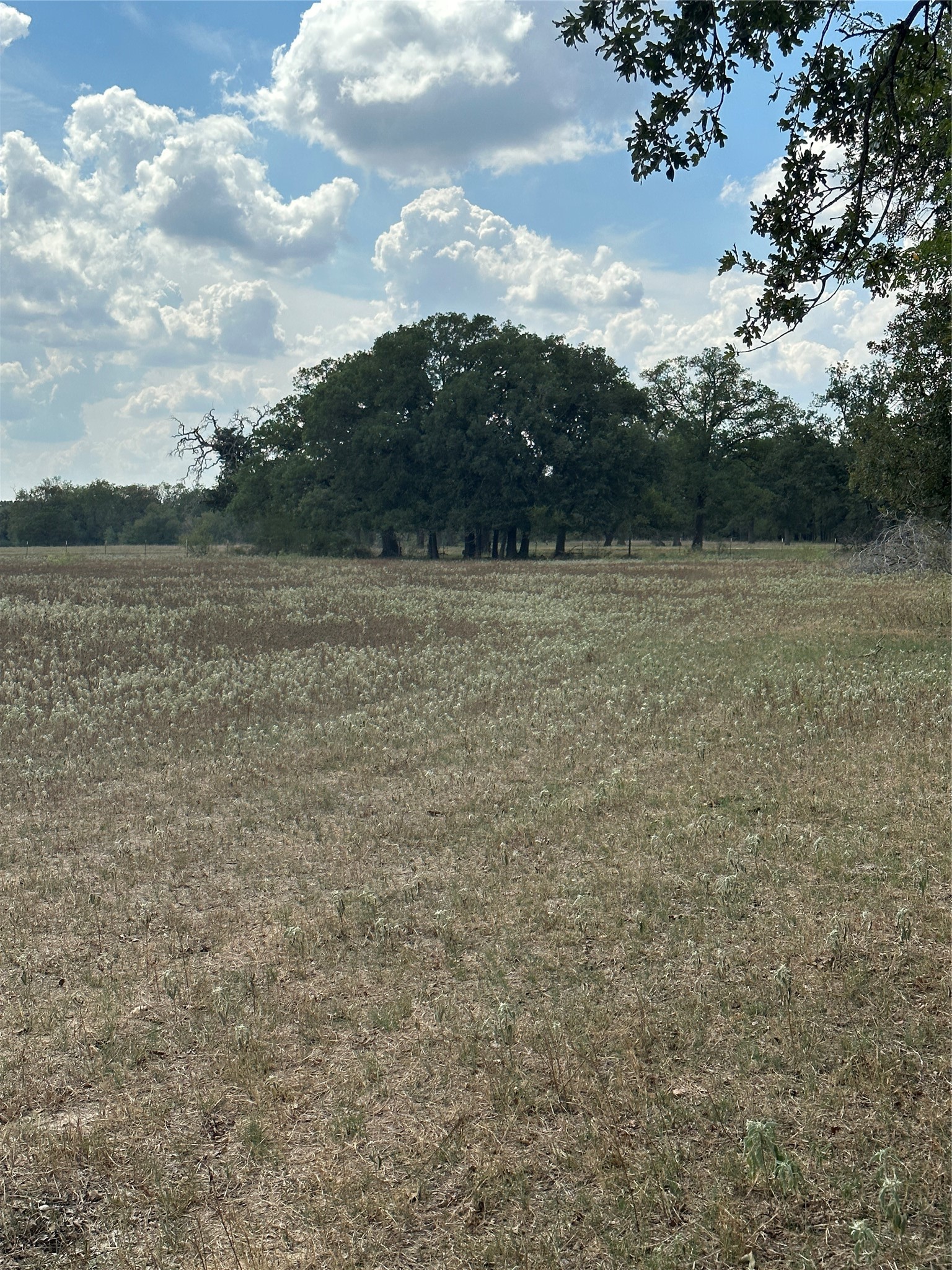 853 Cr 206 Bremond TX 76629