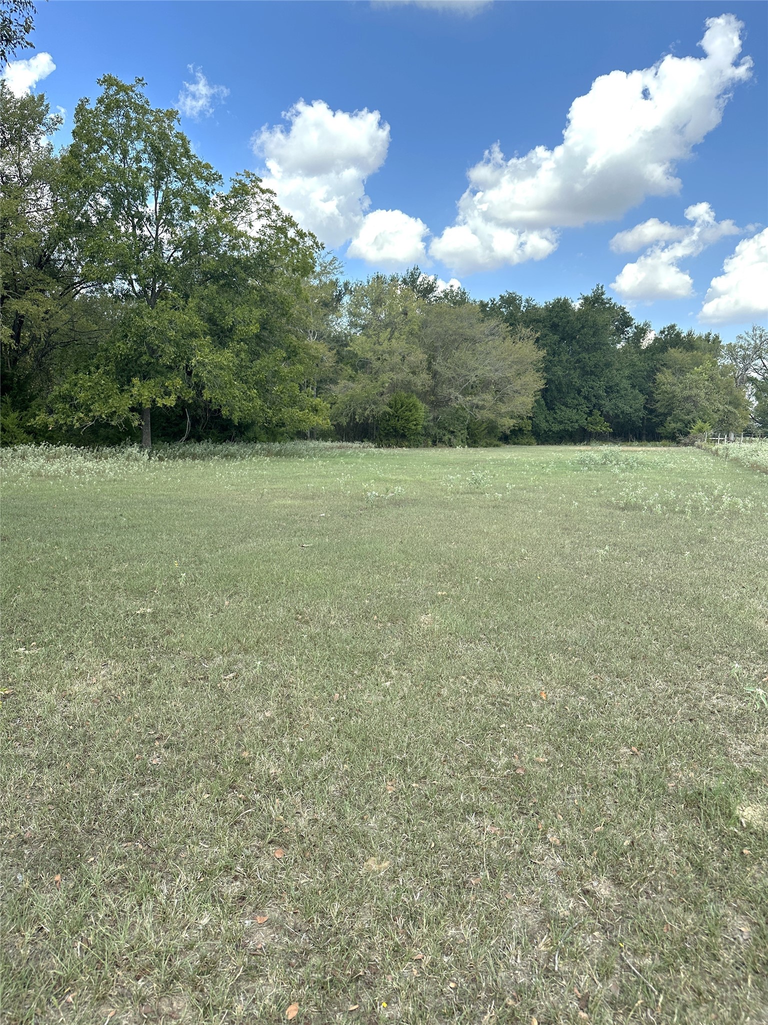 853 Cr 206 Bremond TX 76629