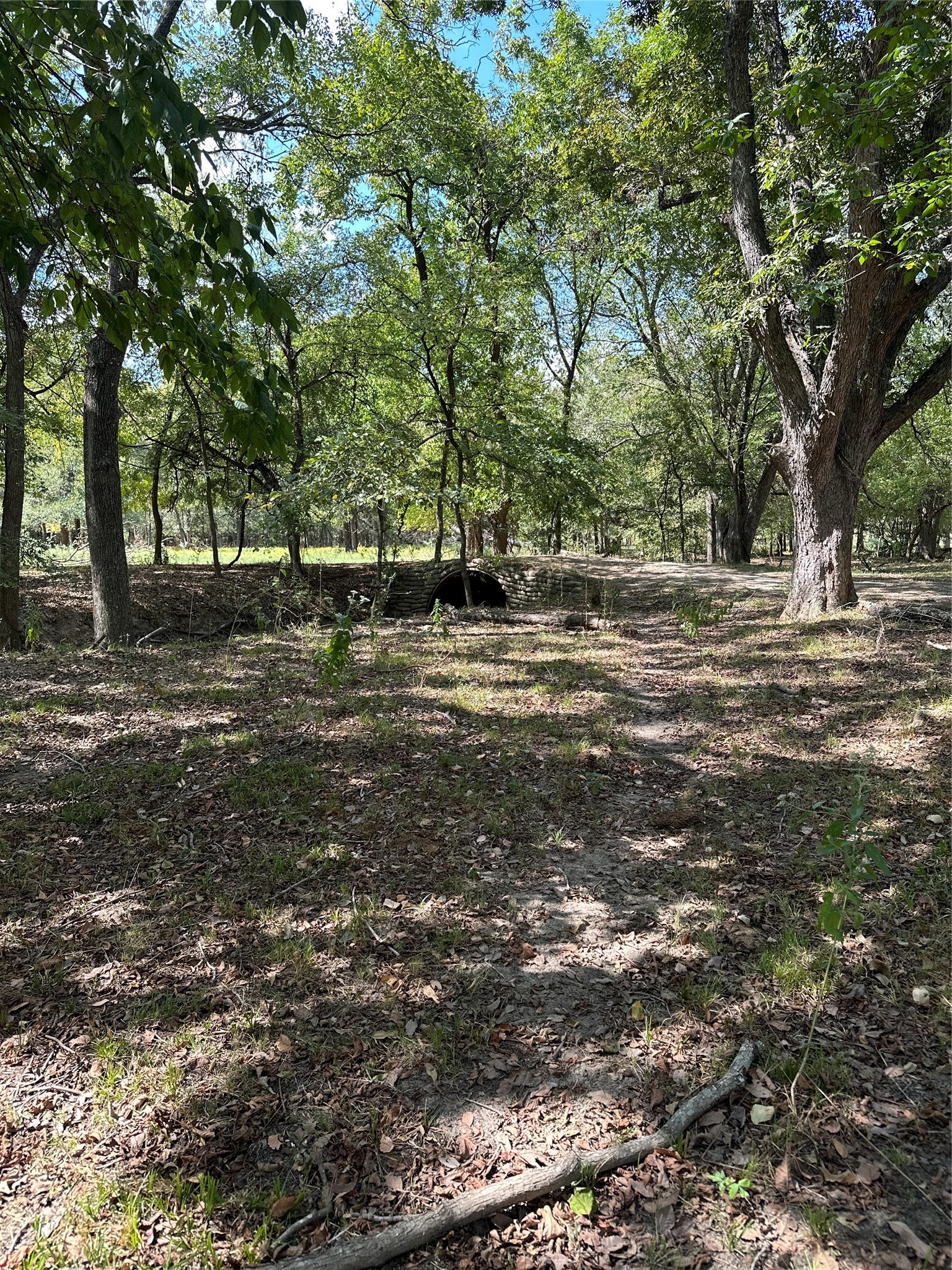 853 Cr 206 Bremond TX 76629