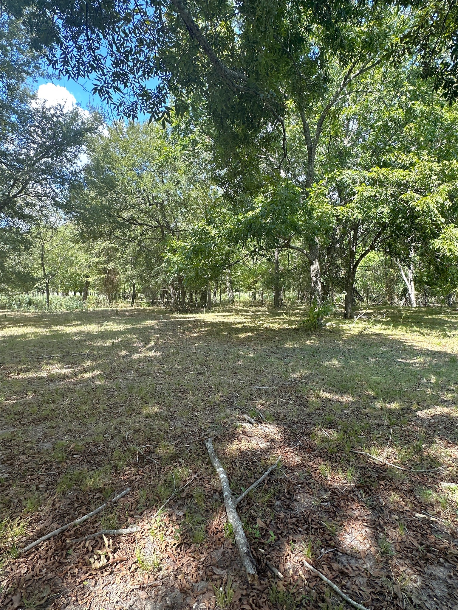 853 Cr 206 Bremond TX 76629
