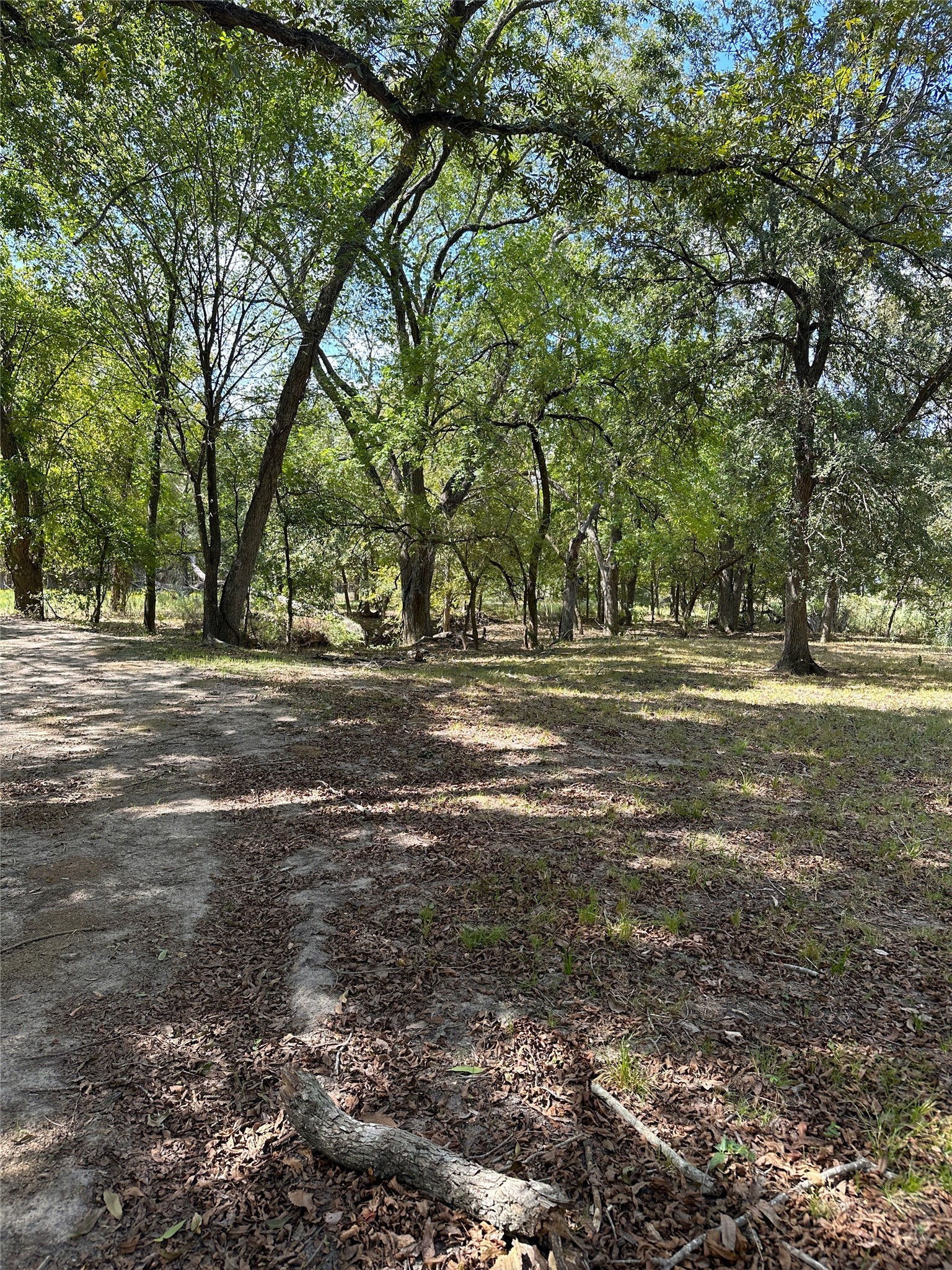 853 Cr 206 Bremond TX 76629