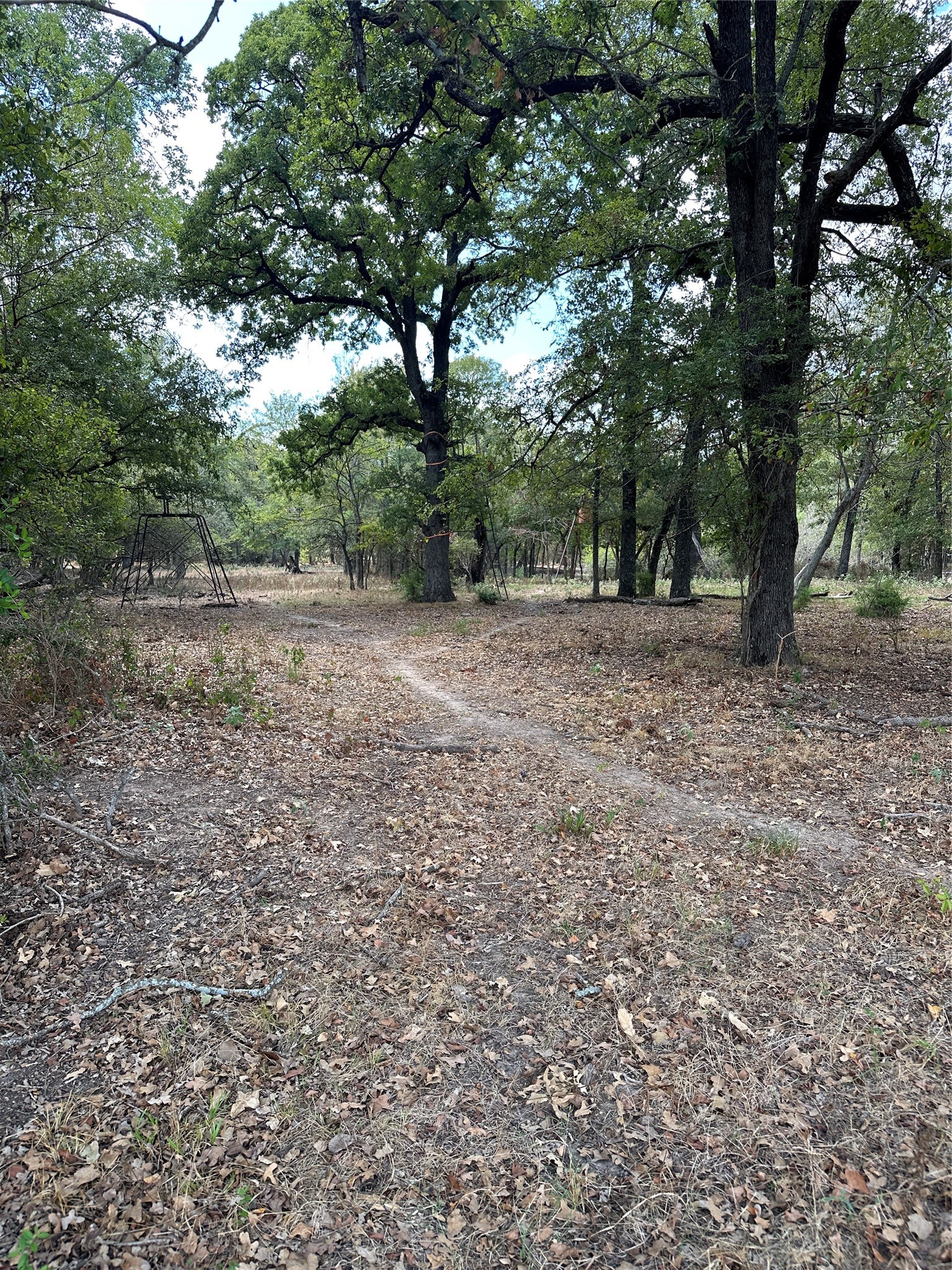 853 Cr 206 Bremond TX 76629