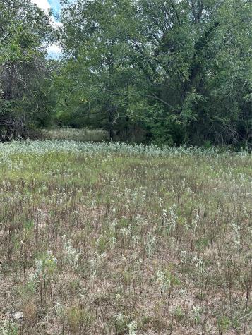 853 Cr 206 Bremond TX 76629