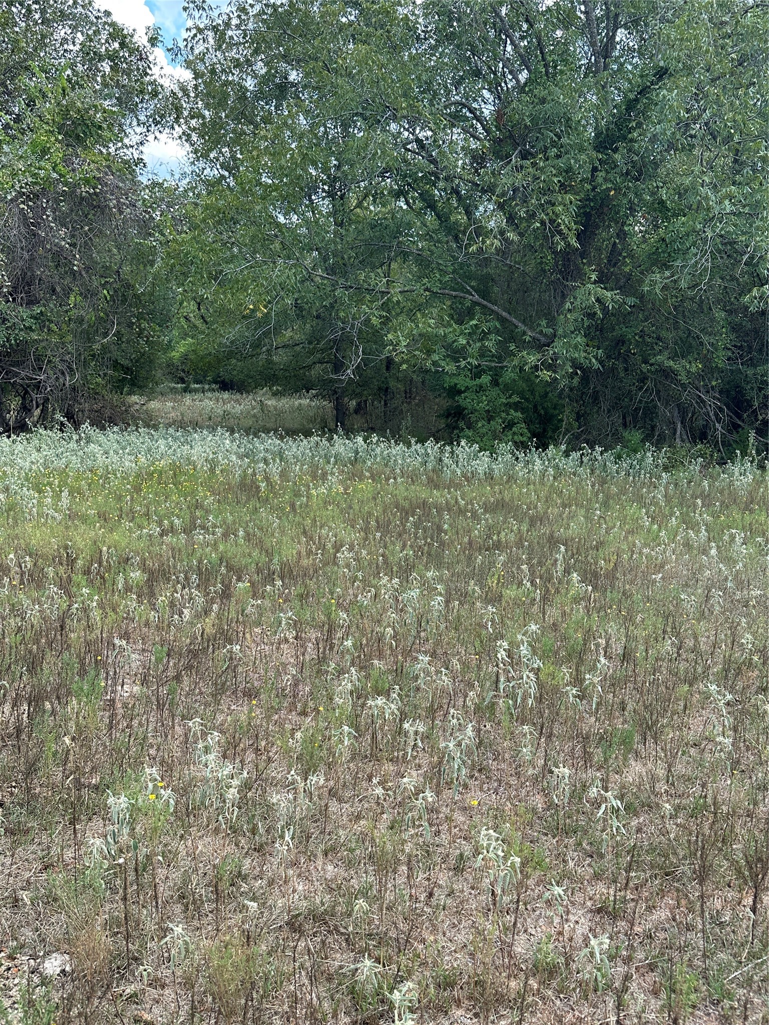853 Cr 206 Bremond TX 76629