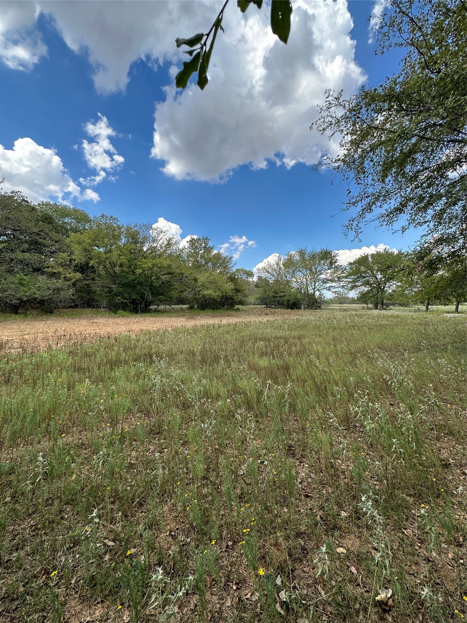 853 Cr 206 Bremond TX 76629
