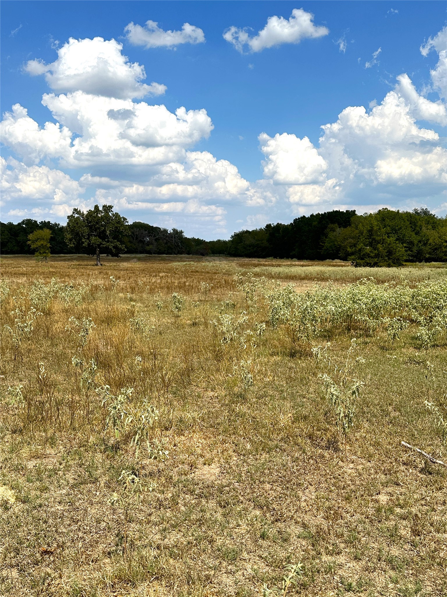 853 Cr 206 Bremond TX 76629