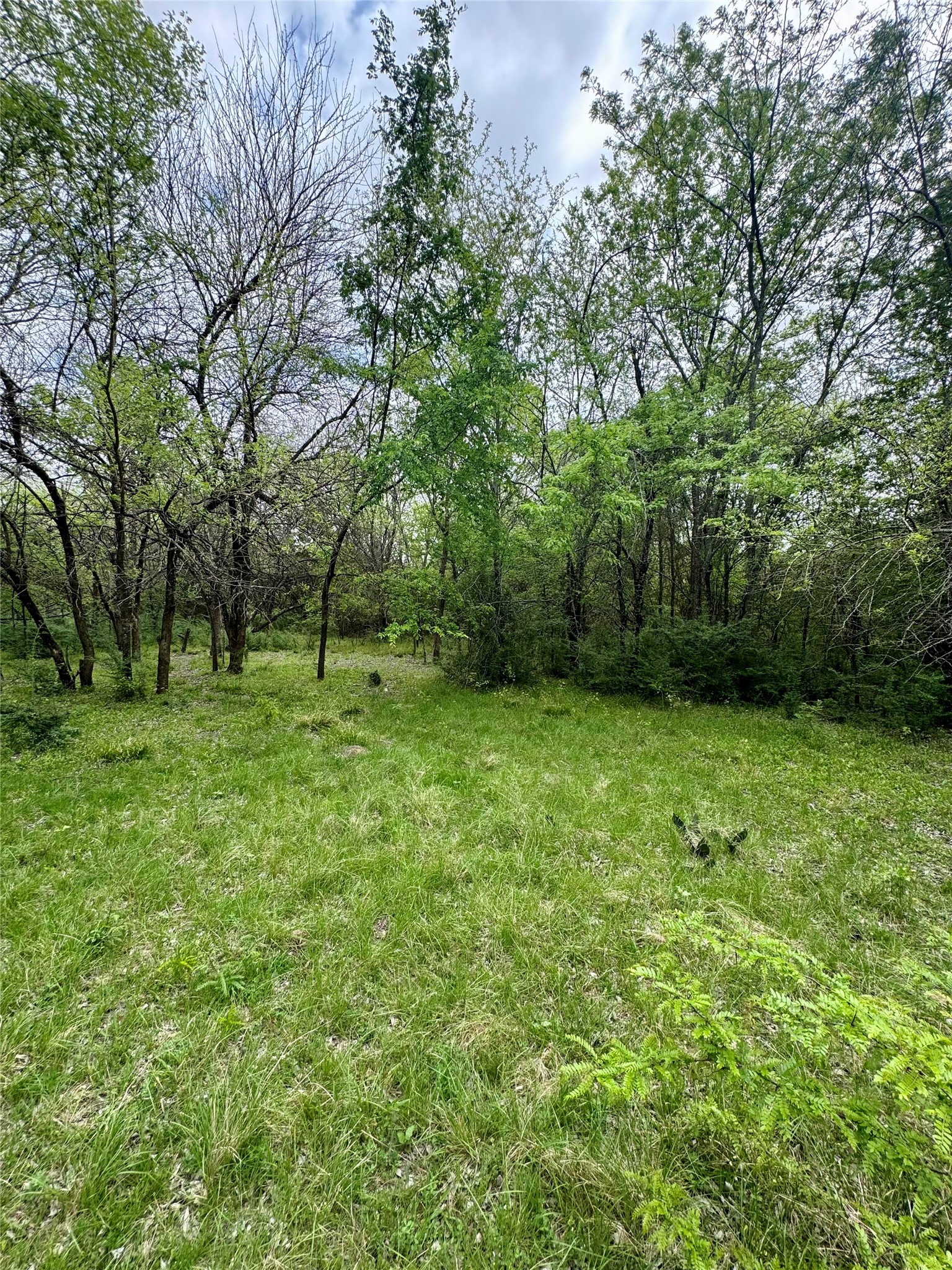 0 Cr 1037 Road Greenville TX 75401