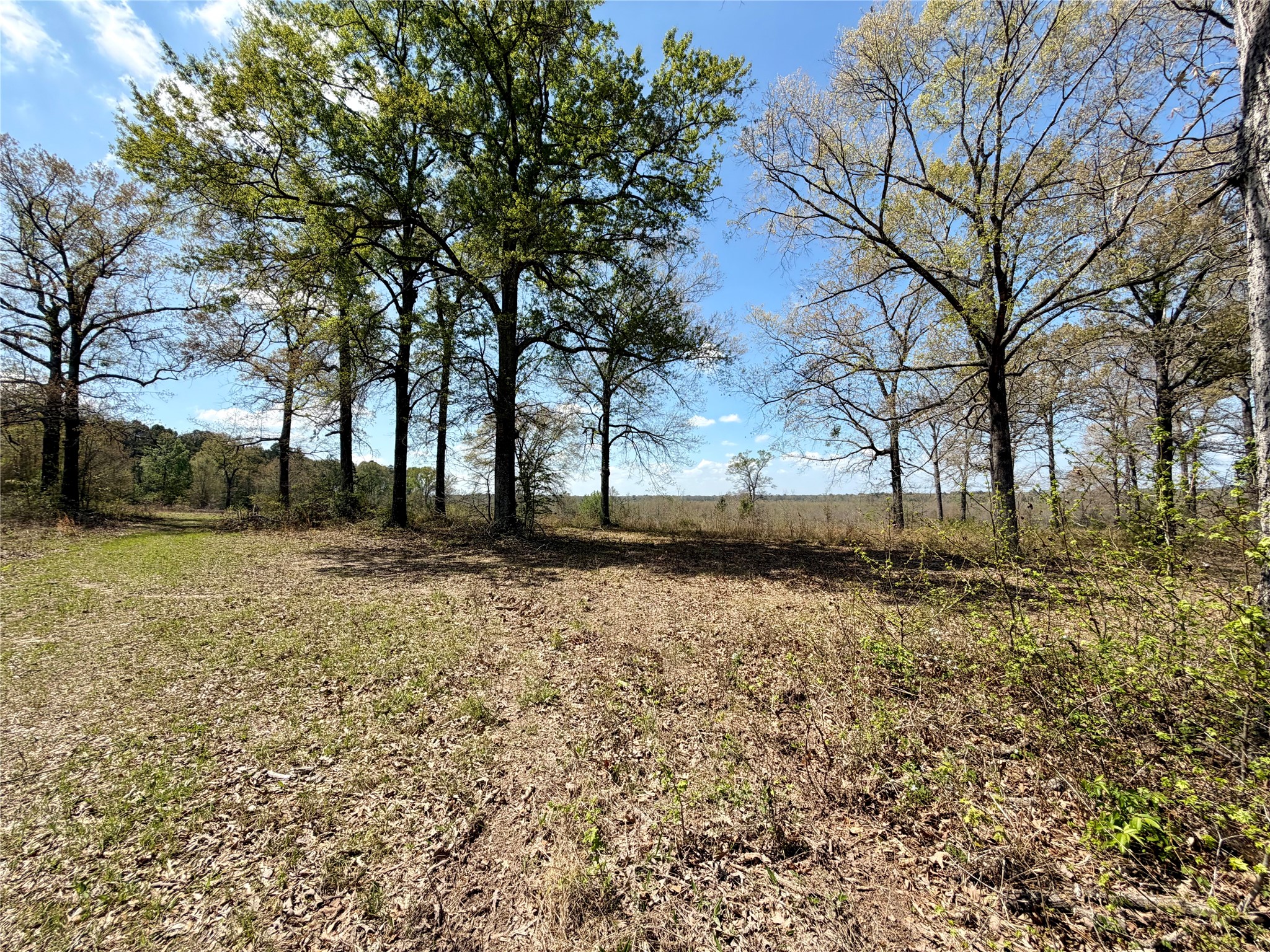 Tbd Fm 3001 W Marshall TX 75670