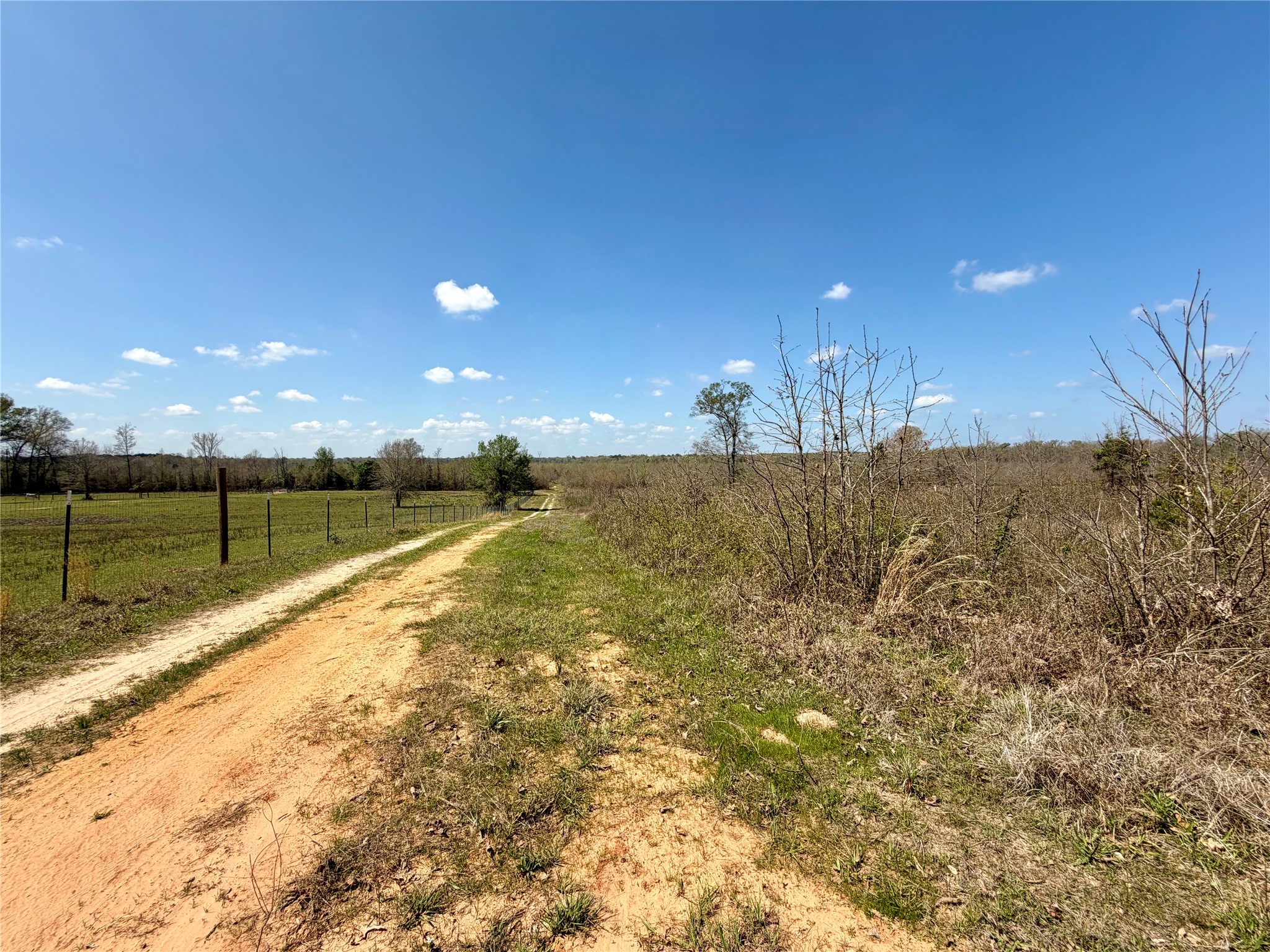 Tbd Fm 3001 W Marshall TX 75670