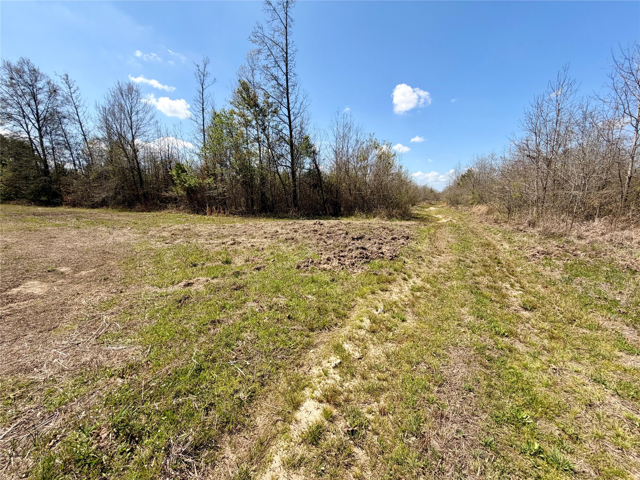 Tbd Fm 3001 W Marshall TX 75670