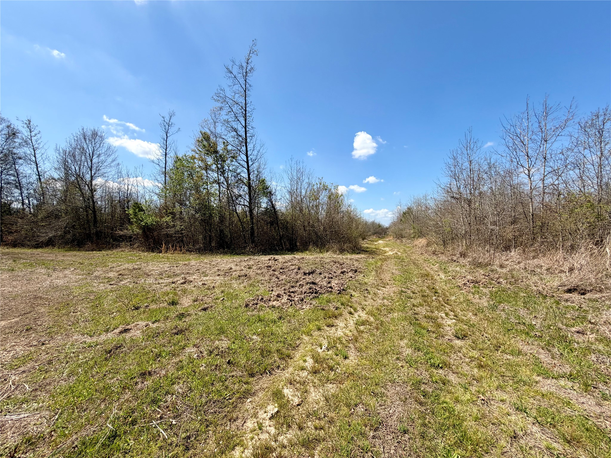 Tbd Fm 3001 W Marshall TX 75670
