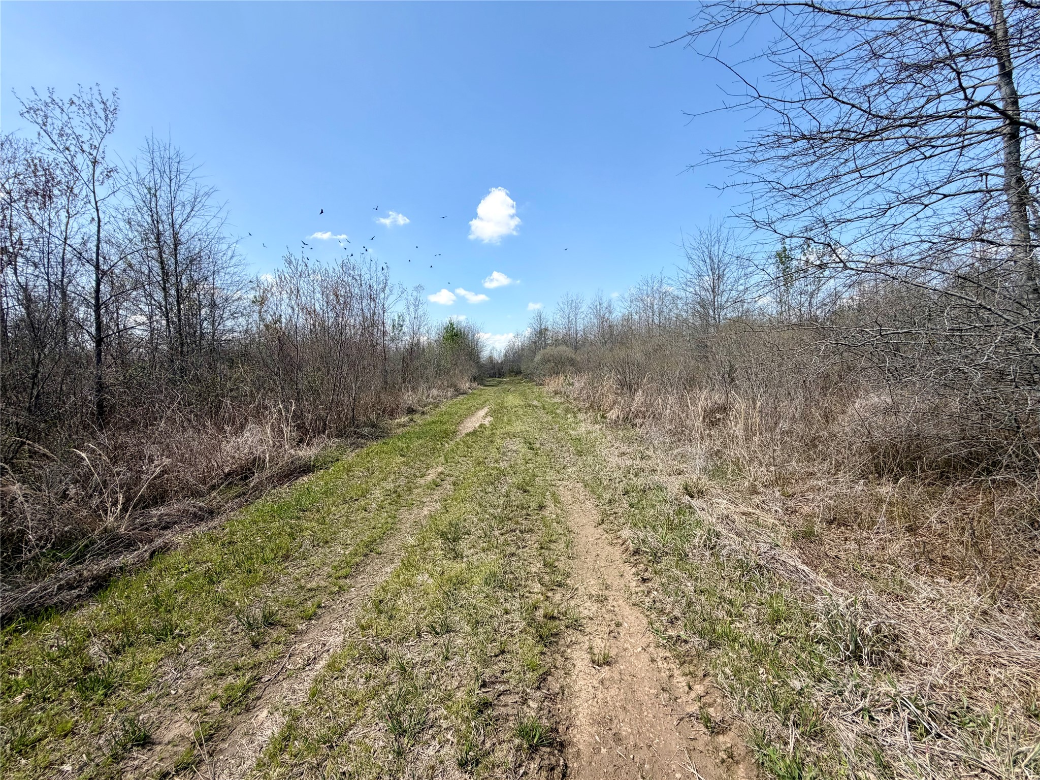 Tbd Fm 3001 W Marshall TX 75670