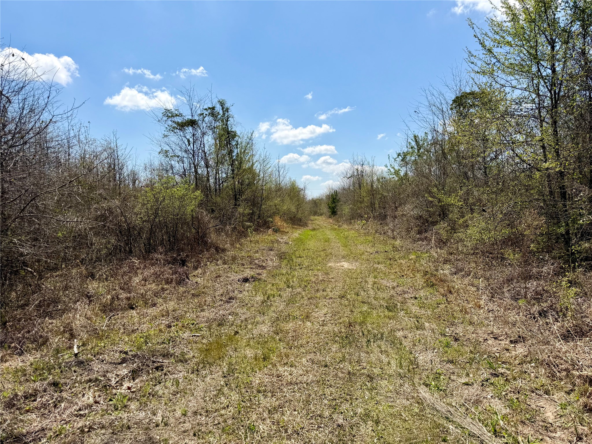 Tbd Fm 3001 W Marshall TX 75670