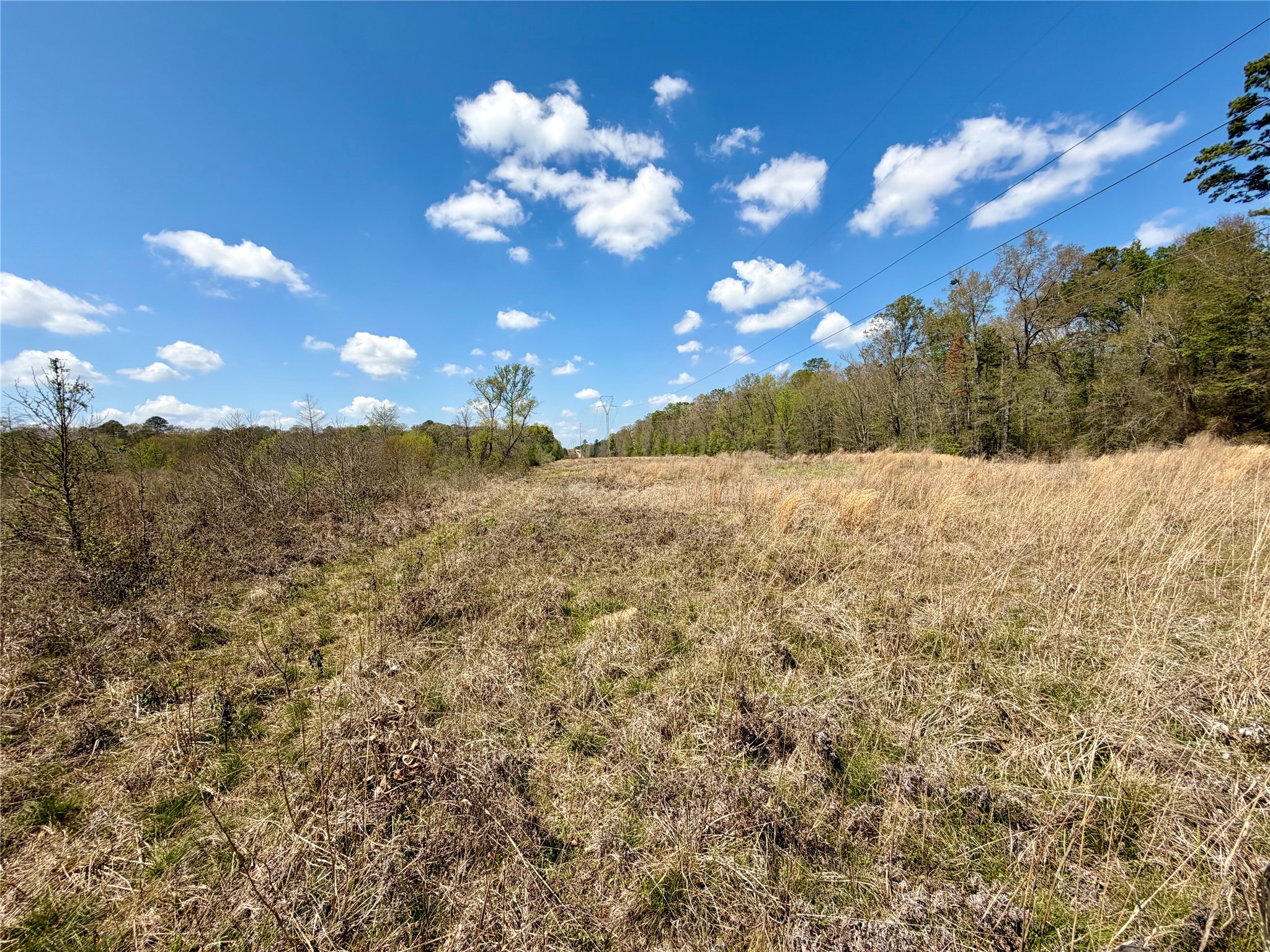 Tbd Fm 3001 W Marshall TX 75670