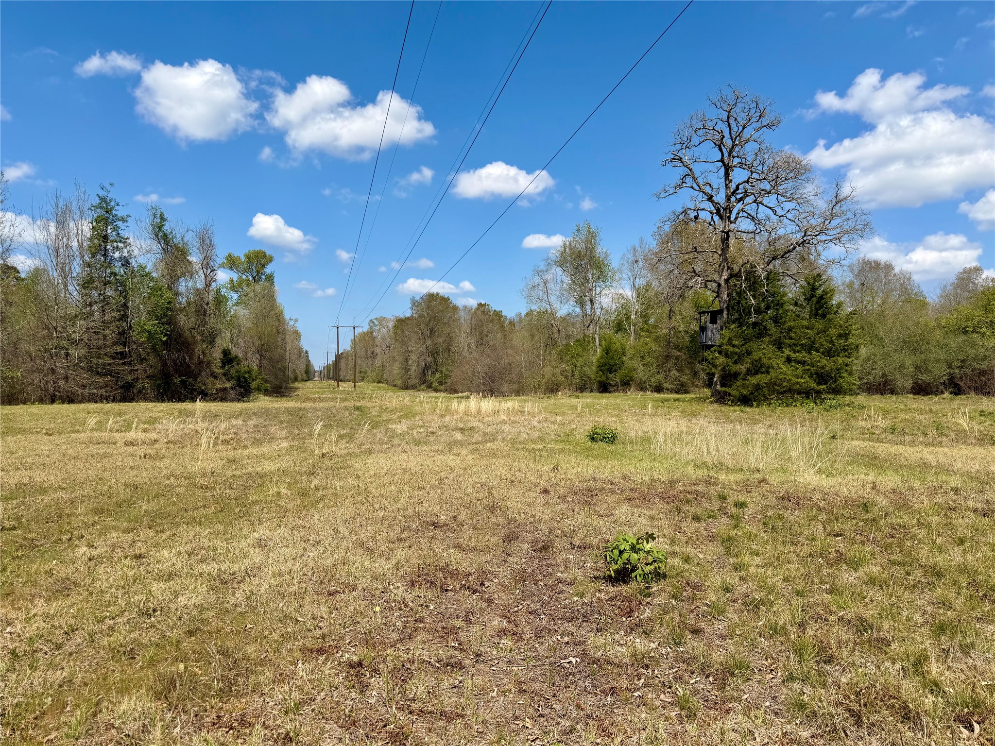 Tbd Fm 3001 W Marshall TX 75670