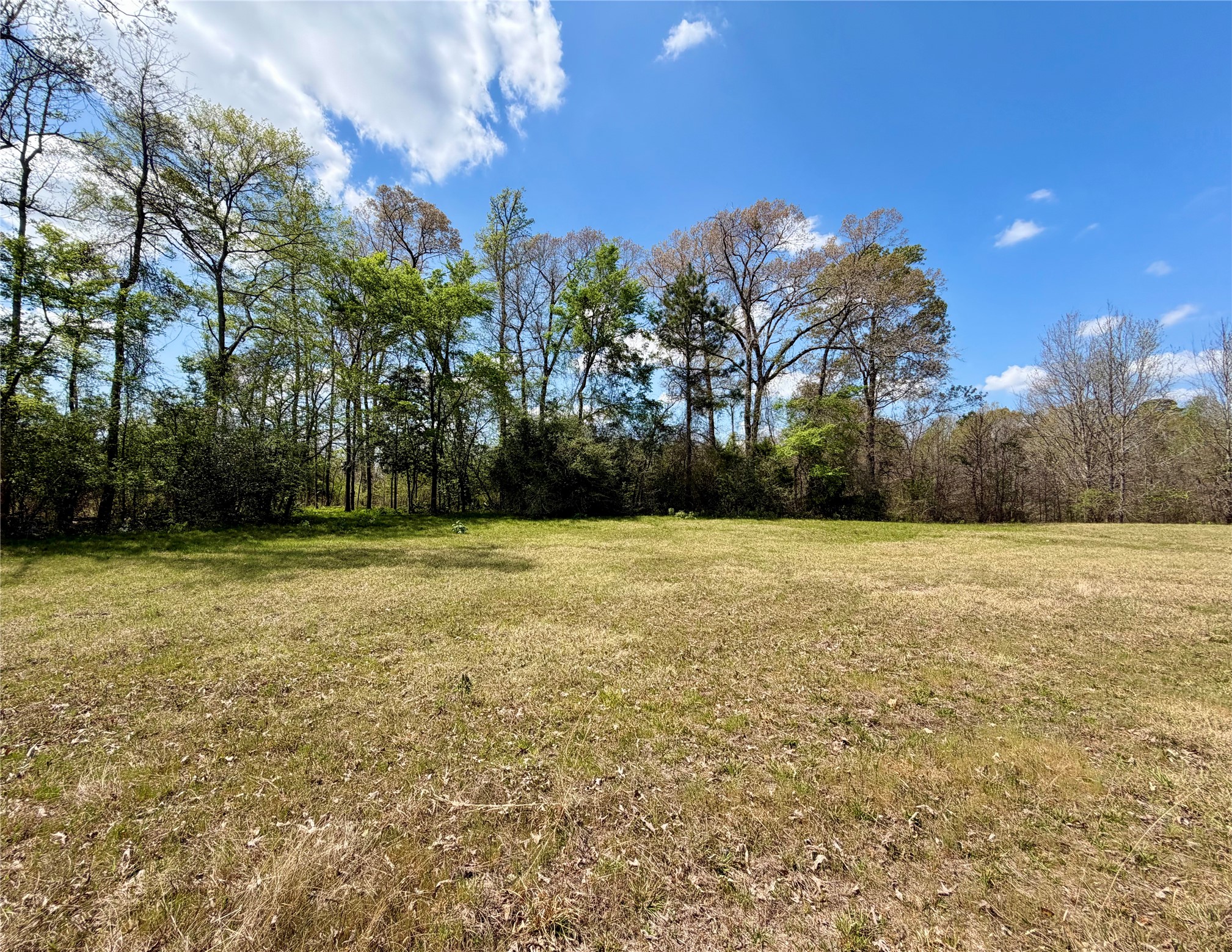 Tbd Fm 3001 W Marshall TX 75670