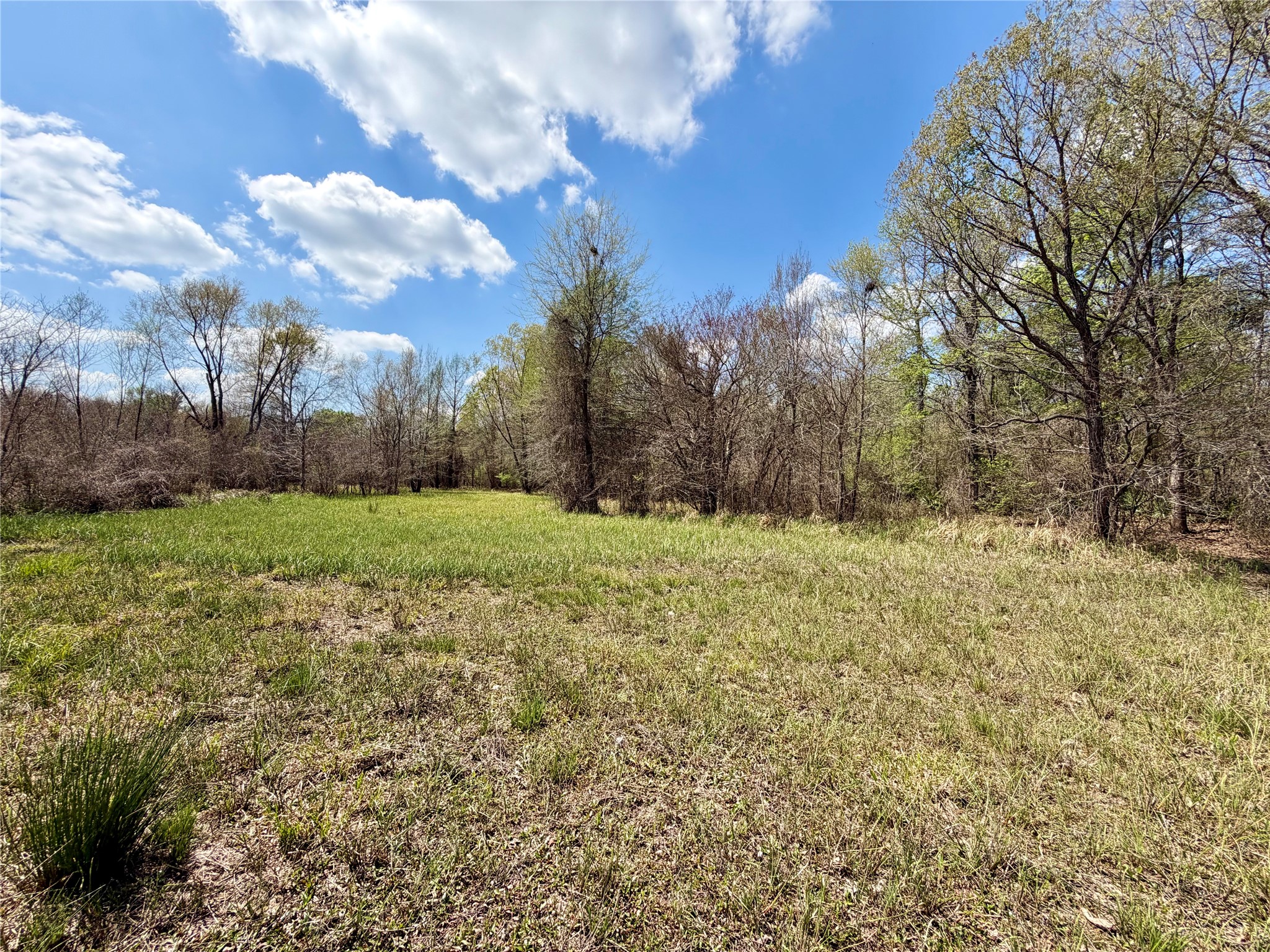 Tbd Fm 3001 W Marshall TX 75670