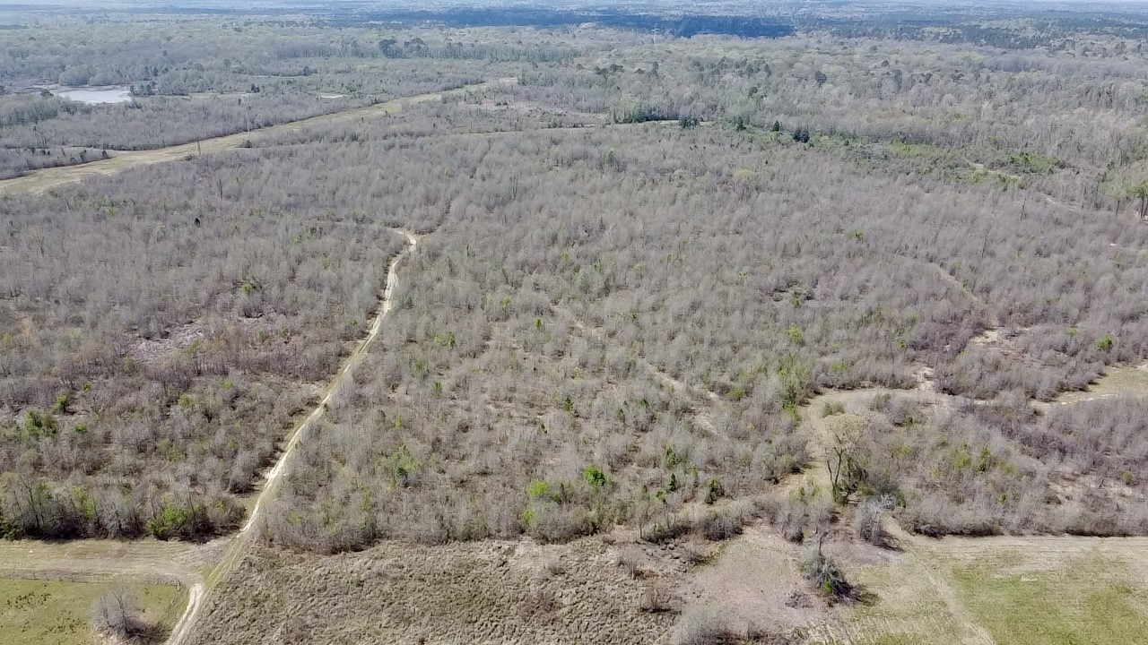 Tbd Fm 3001 W Marshall TX 75670