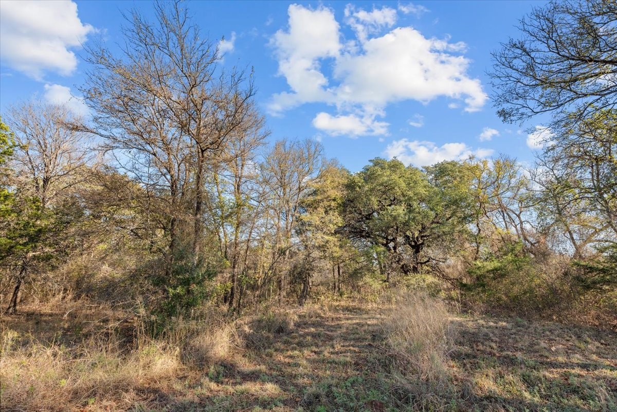 Tbd Fm-1304 Aquilla TX 76622