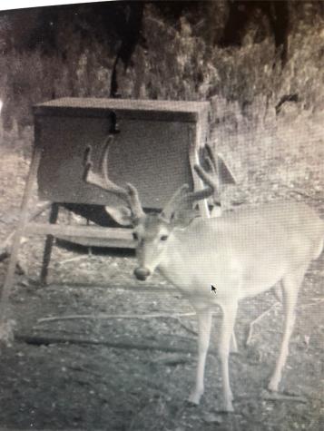 Tbd Fm-1304 Aquilla TX 76622