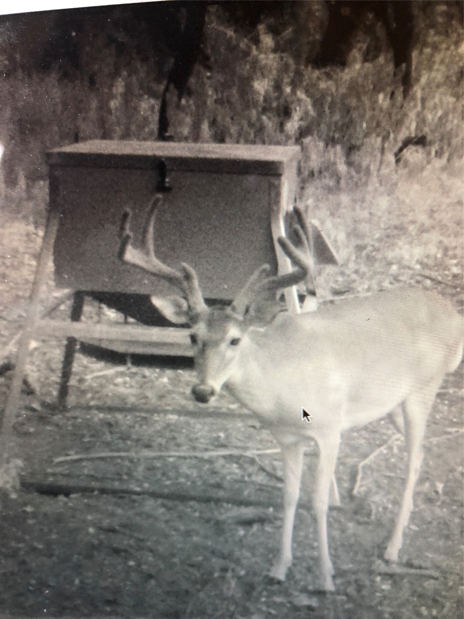 Tbd Fm-1304 Aquilla TX 76622
