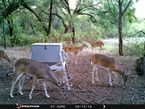 Tbd Fm-1304 Aquilla TX 76622