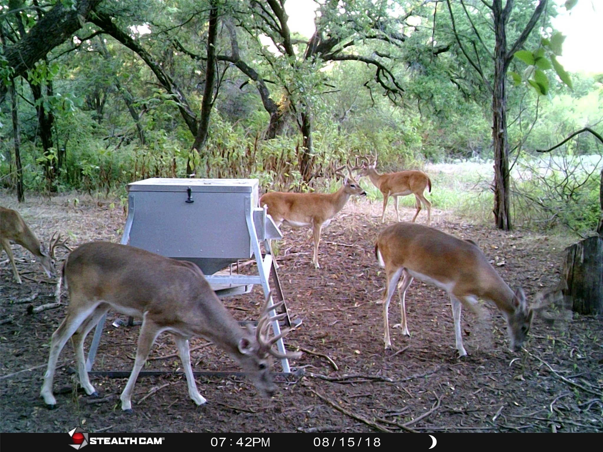 Tbd Fm-1304 Aquilla TX 76622