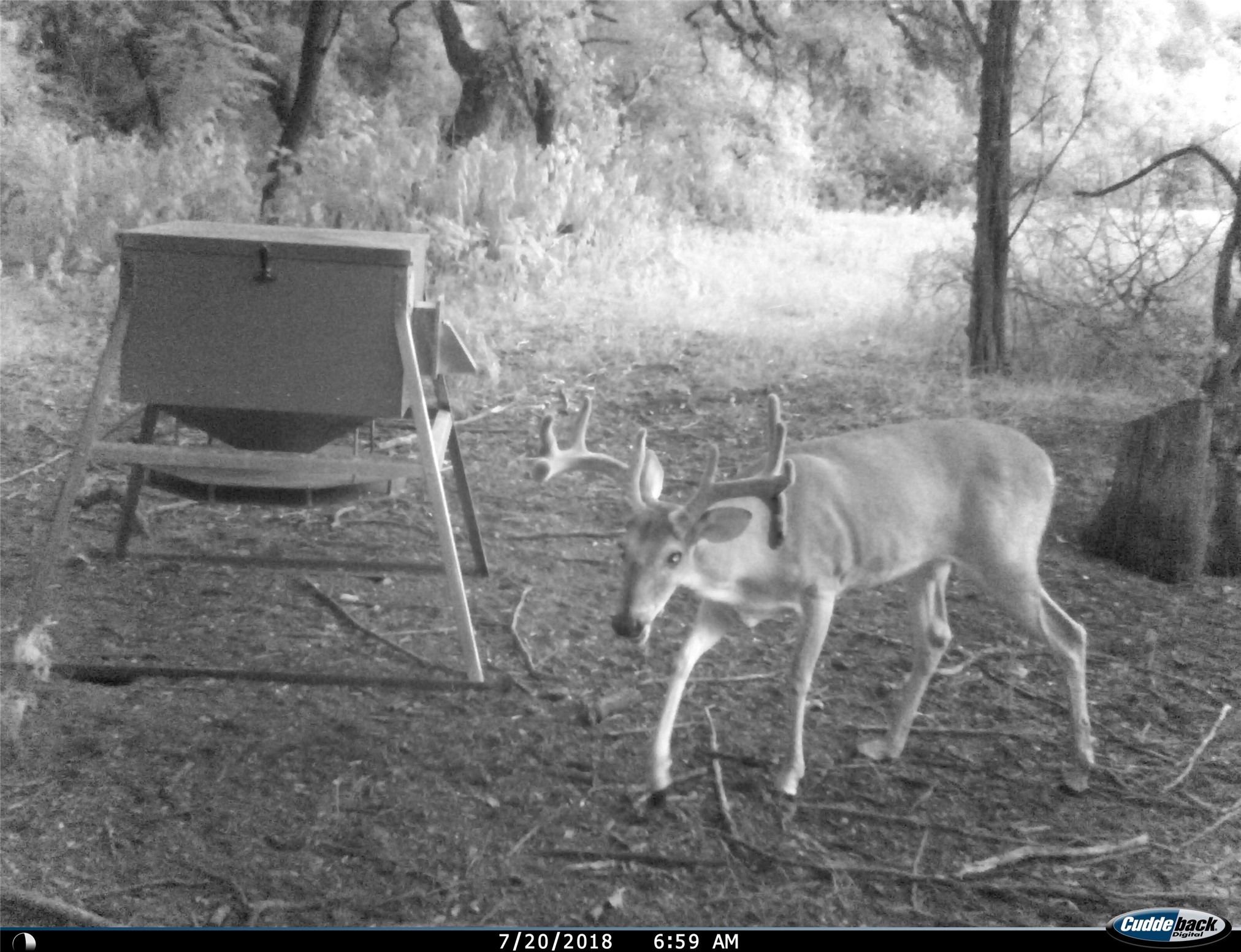 Tbd Fm-1304 Aquilla TX 76622