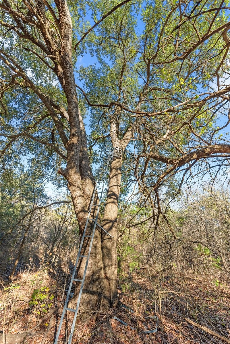 Tbd Fm-1304 Aquilla TX 76622