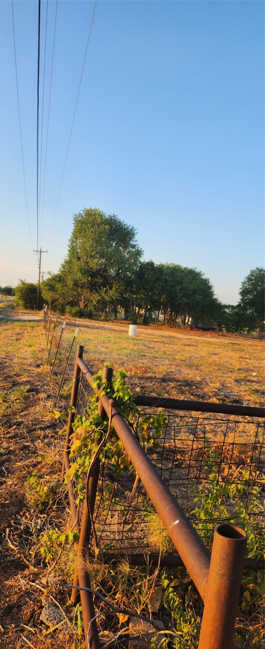 592 Pike Road Gunter TX 75058