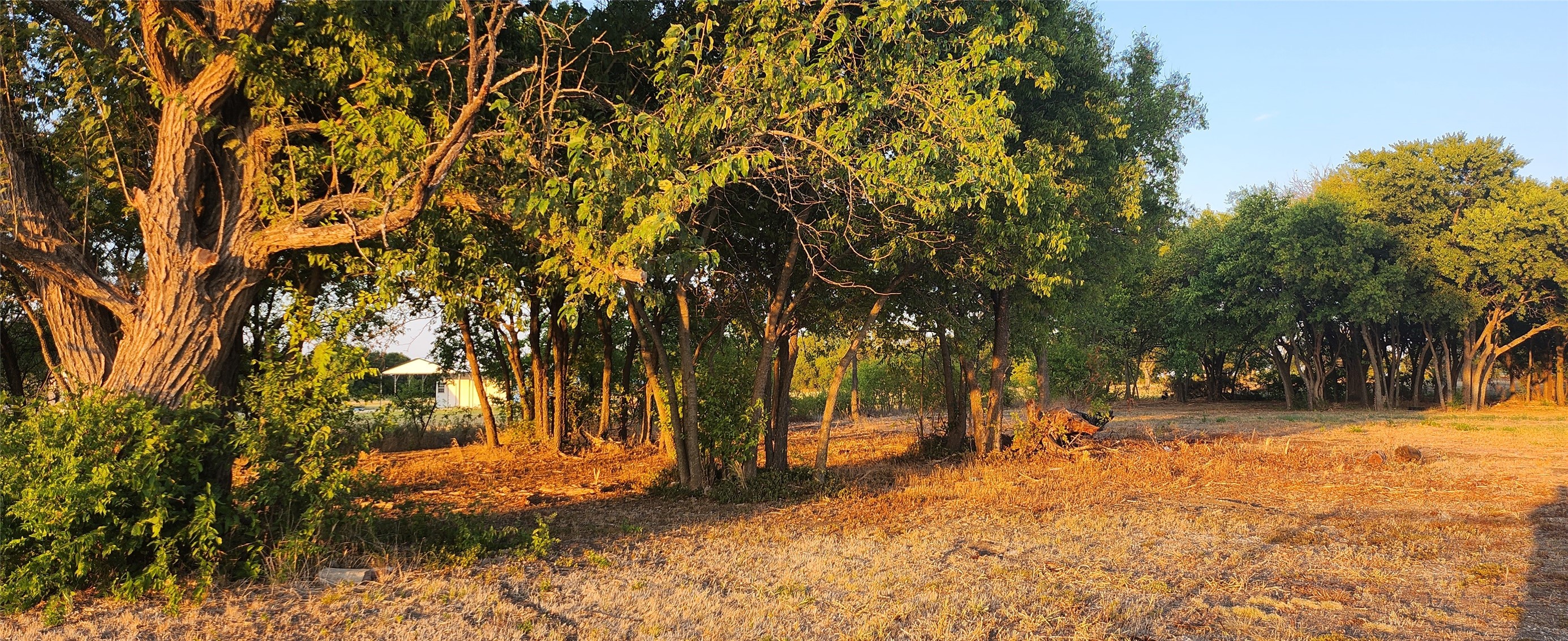 592 Pike Road Gunter TX 75058