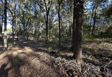 N/a Lot 59 County Road 2938 Pittsburg TX 75686