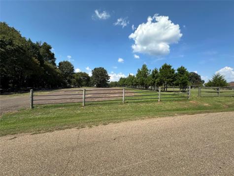 N/a Lot 59 County Road 2938 Pittsburg TX 75686