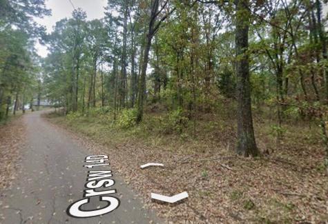 N/a Lot 59 County Road 2938 Pittsburg TX 75686