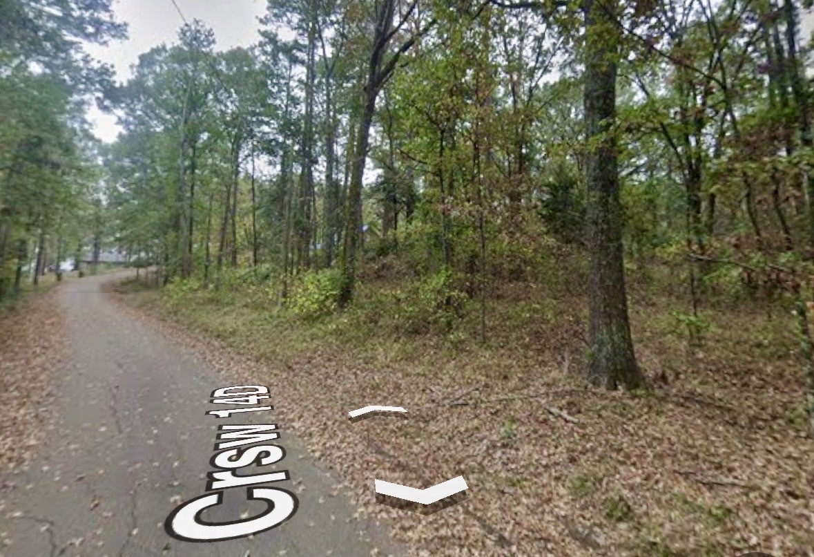 N/a Lot 59 County Road 2938 Pittsburg TX 75686