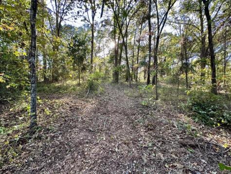 N/a Lot 59 County Road 2938 Pittsburg TX 75686