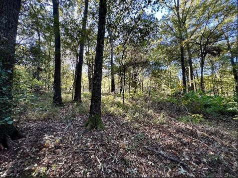 N/a Lot 59 County Road 2938 Pittsburg TX 75686