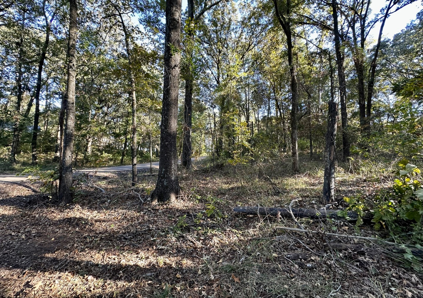 N/a Lot 59 County Road 2938 Pittsburg TX 75686