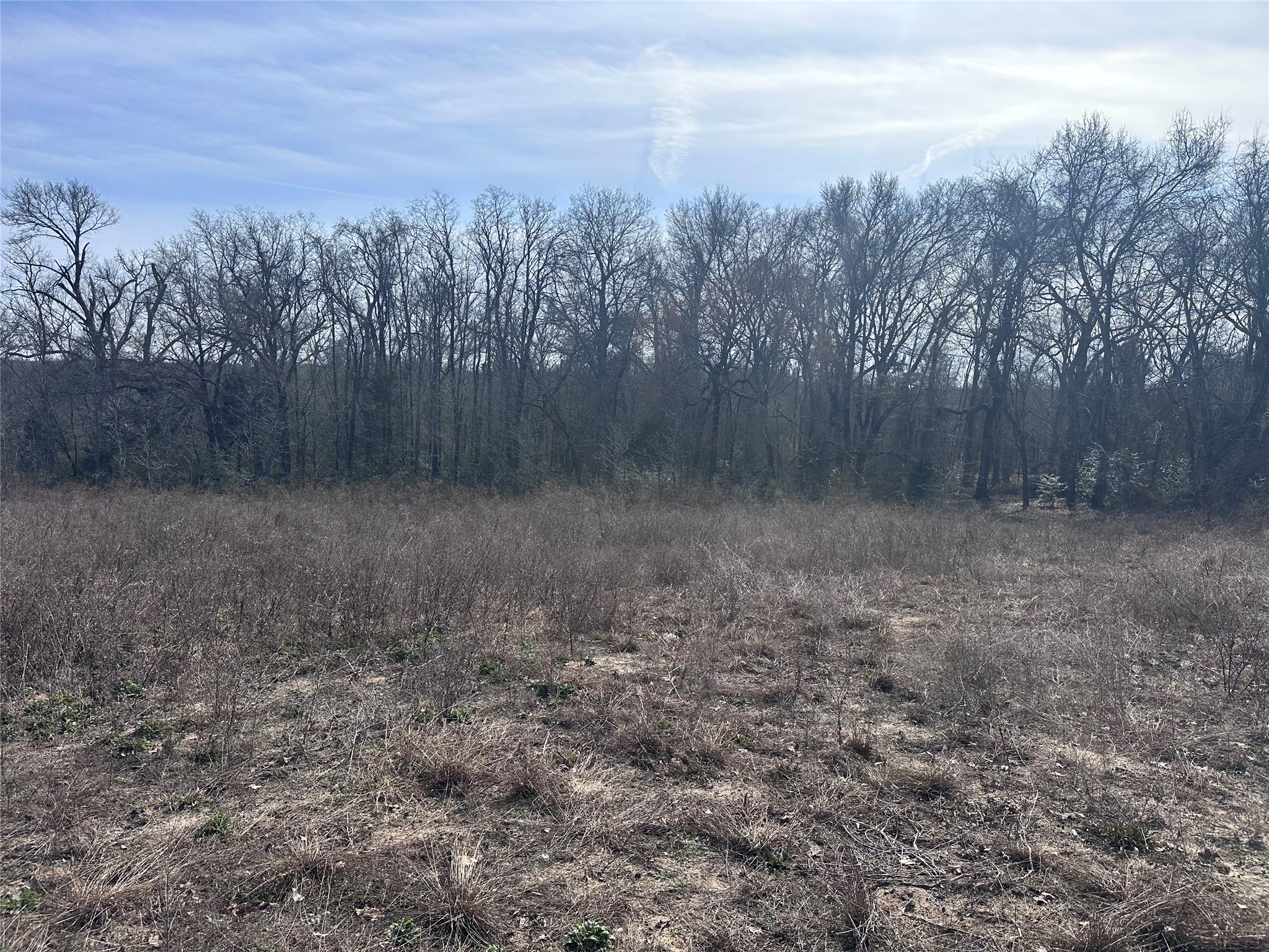 Tbd Wooded Creek Drive Athens TX 75751