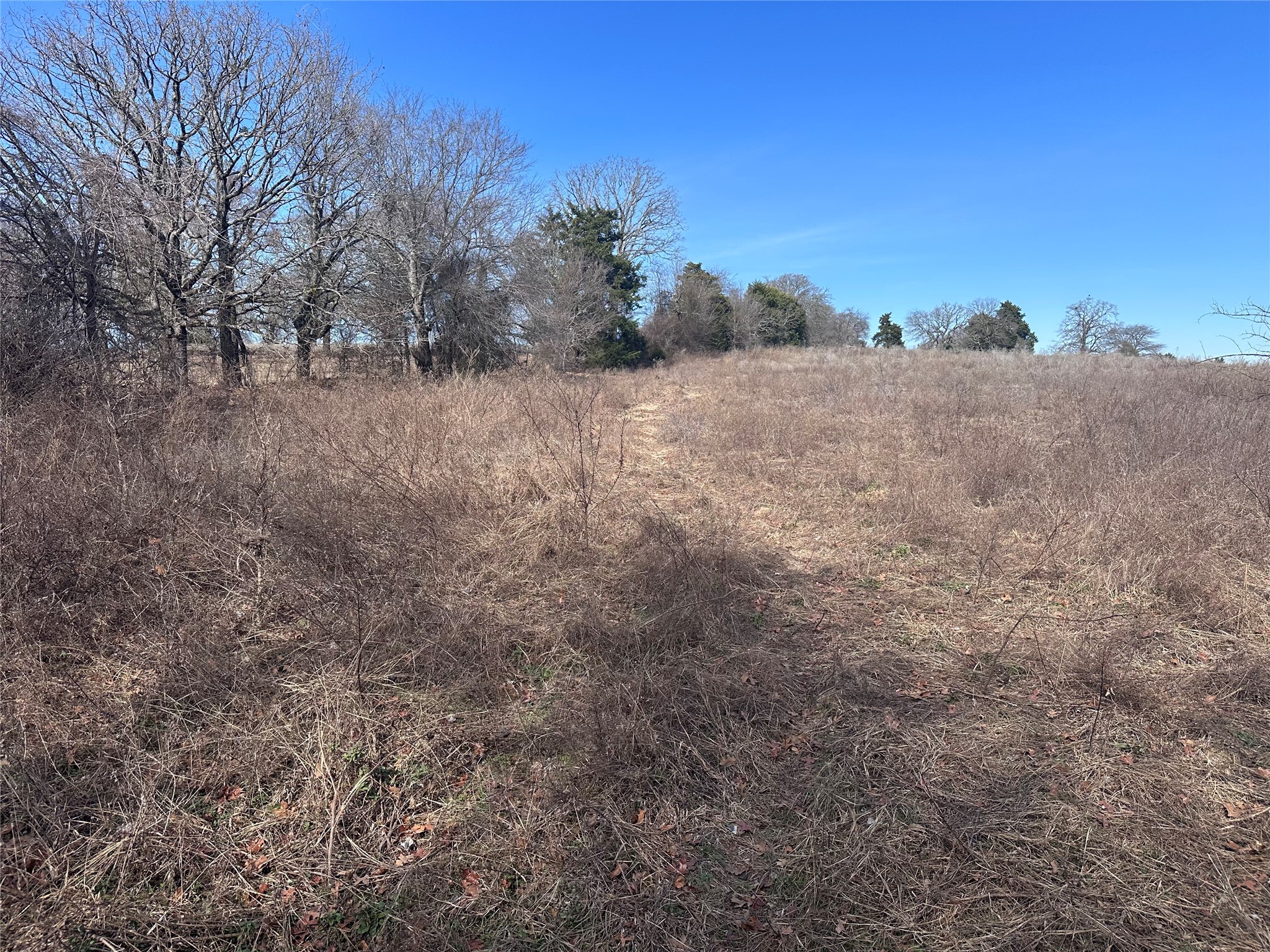 Tbd Wooded Creek Drive Athens TX 75751