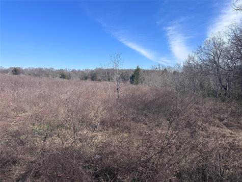 Tbd Wooded Creek Drive Athens TX 75751