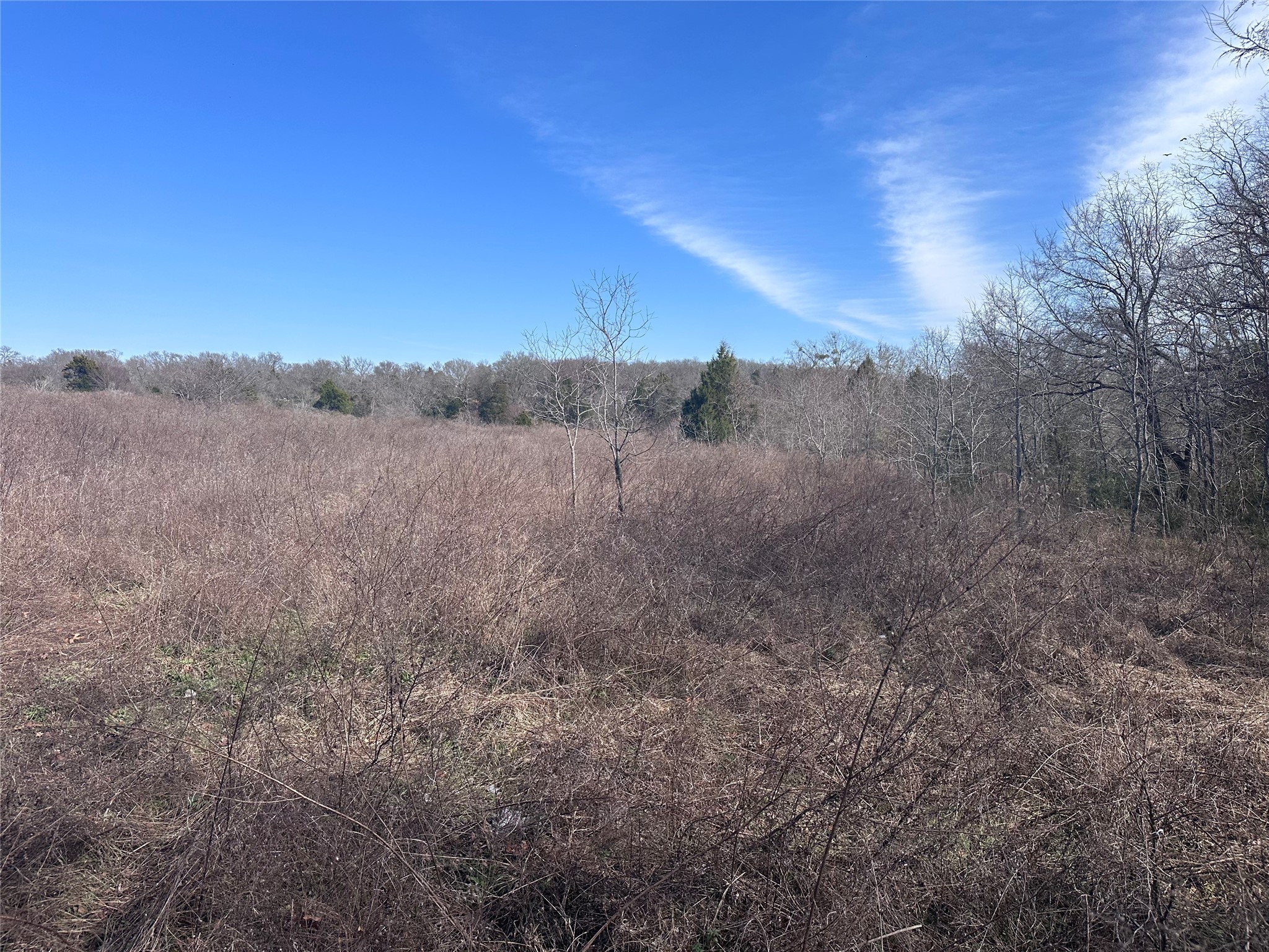Tbd Wooded Creek Drive Athens TX 75751