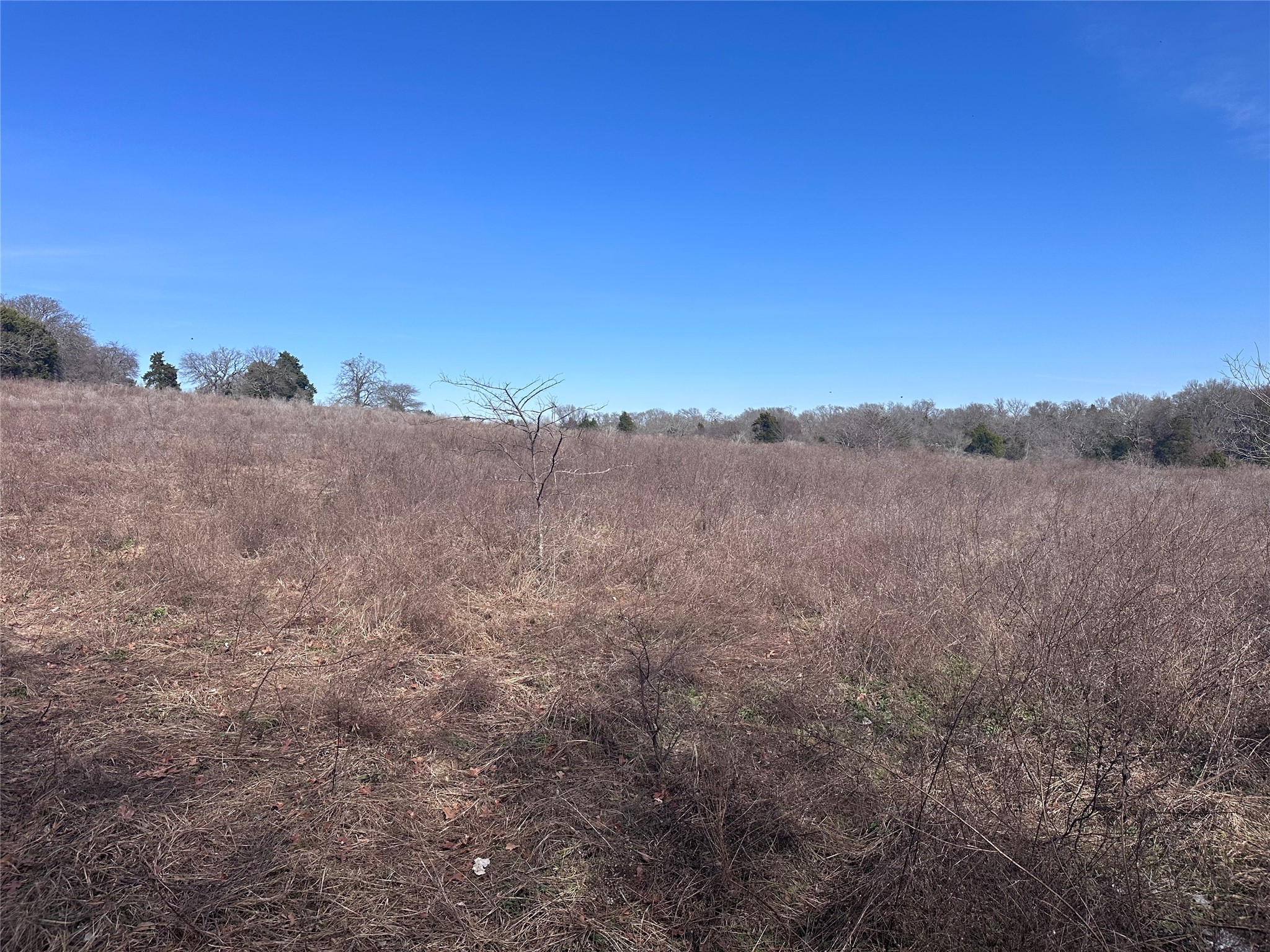 Tbd Wooded Creek Drive Athens TX 75751