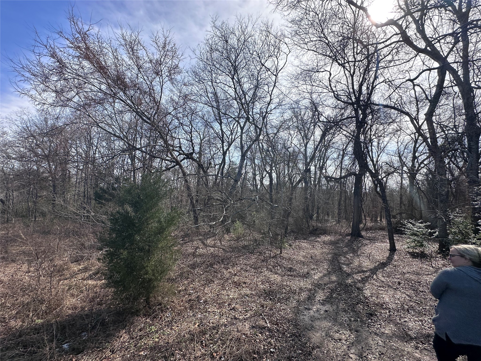 Tbd Wooded Creek Drive Athens TX 75751