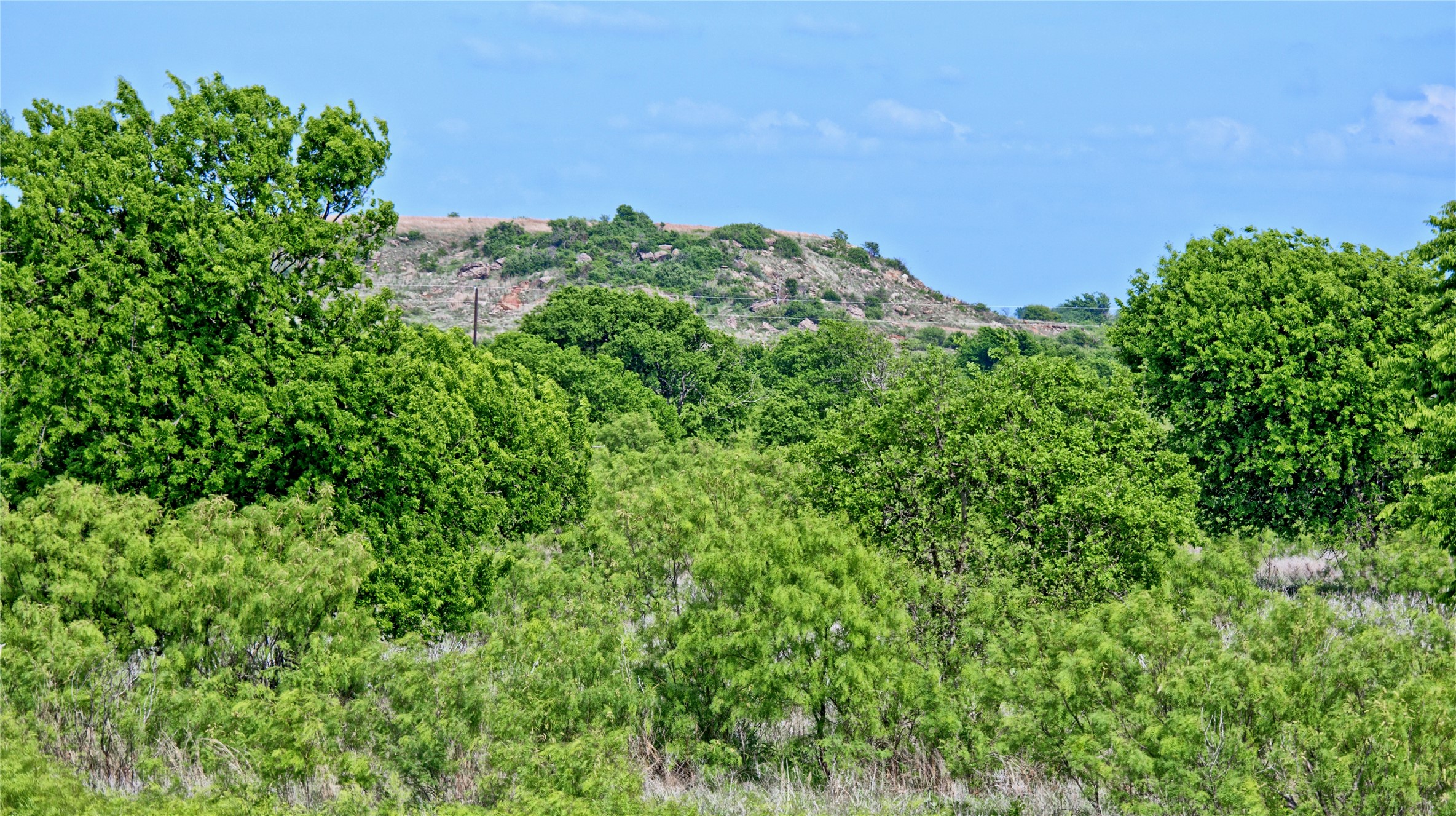 000 Longview Lane Bowie TX 76230