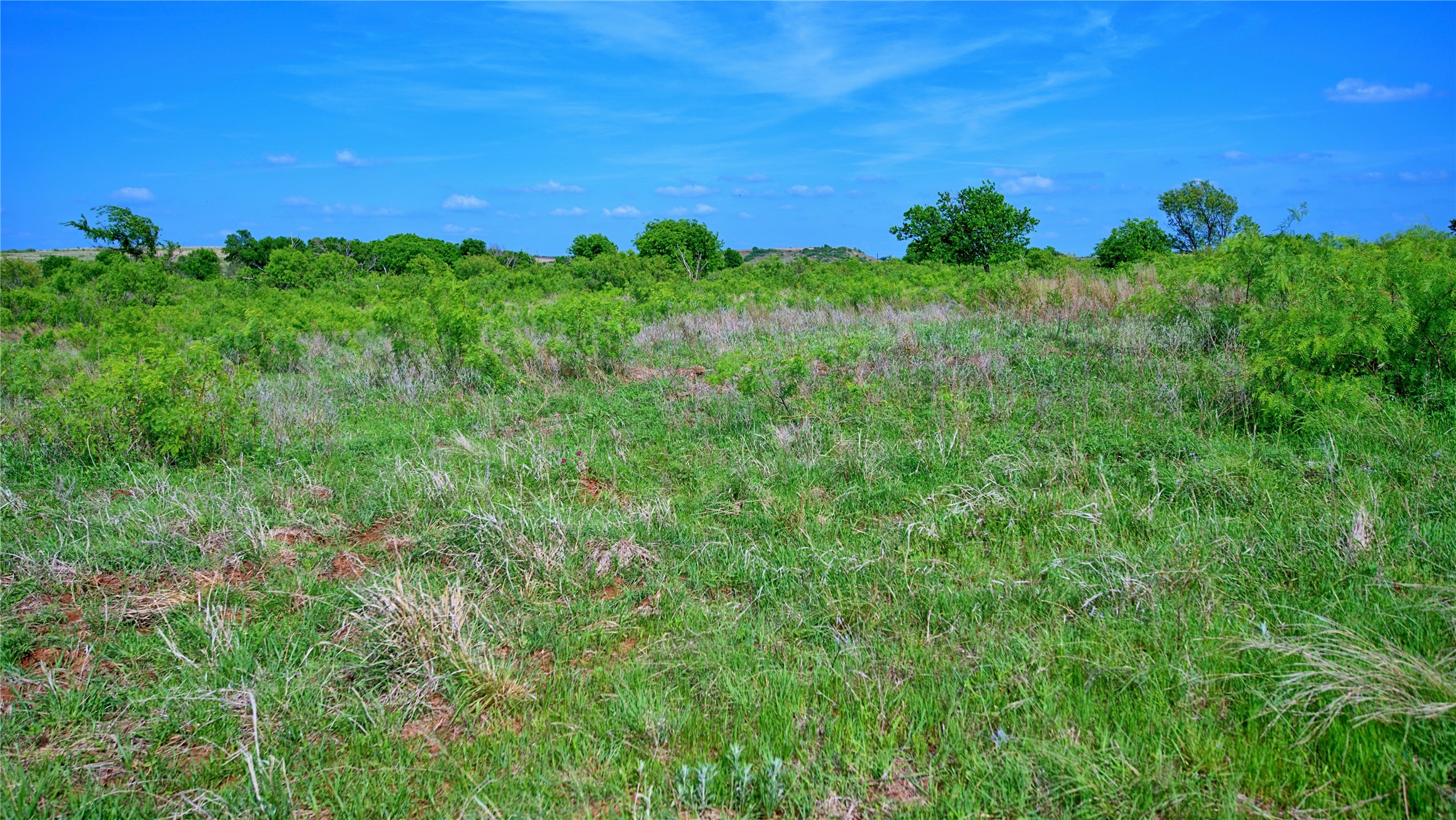 000 Longview Lane Bowie TX 76230