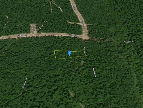 265 Sky Oak Lane Huntsville TX 77340