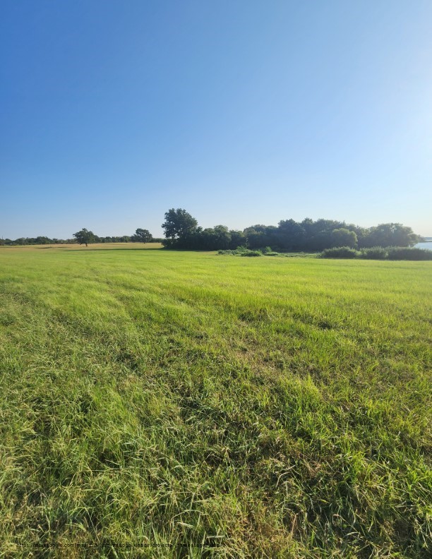 00 SE County Road Kerens TX 75144