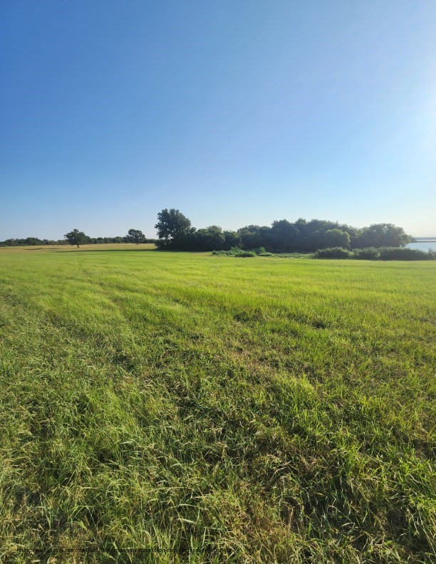 00 SE County Road Kerens TX 75144